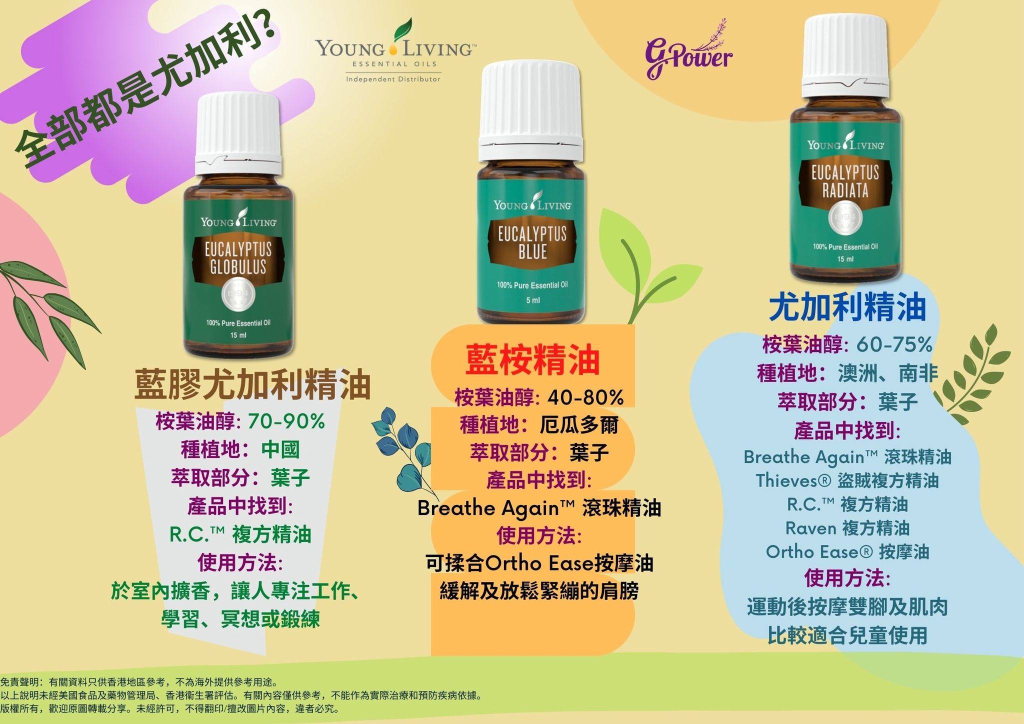 全部都是尤加利🌿❓